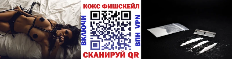 Купить где  Петровск-Забайкальский  КОКАИН FishScale 