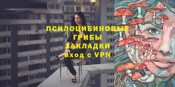 дурь Козловка