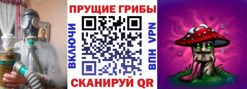 Галлюциногенные грибы MAGIC MUSHROOMS  Купить  Петровск-Забайкальский 